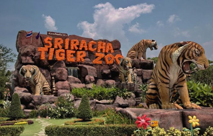зоопарк Sriracha Tiger Zoo