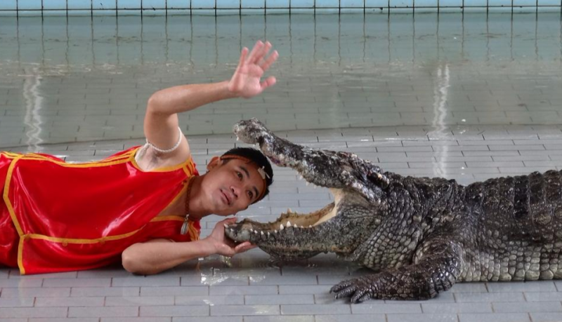 Крокодиловая ферма и парк миллион летних камней. Таиланд.