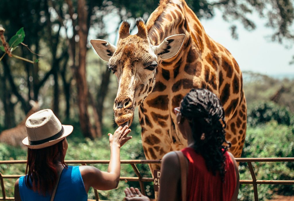 8 городов с лучшими зоопарками мира