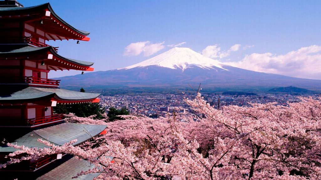 Какие правила нужно знать при поездке в Японию