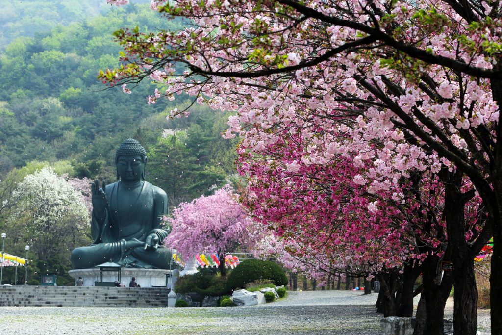 Подходит ли Южная Корея для весенне-летнего сезона отдыха