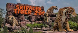 зоопарк Sriracha Tiger Zoo