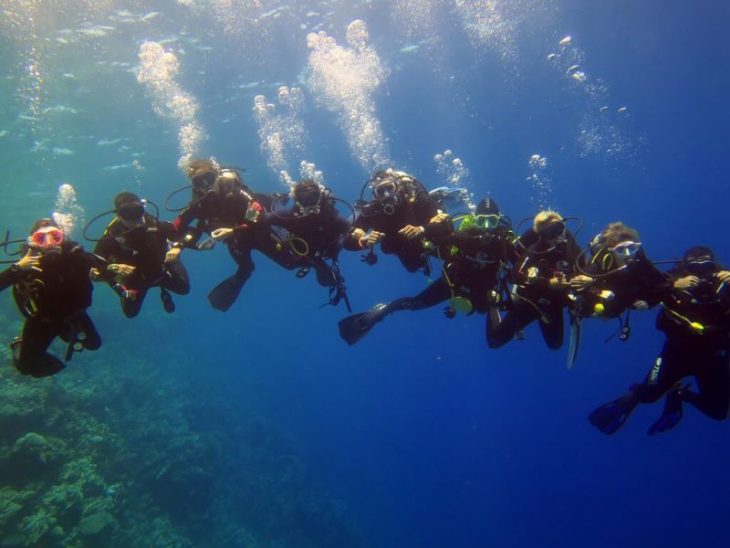 Безопасный дайвинг: как вести себя под водой, чтобы избежать рисков
