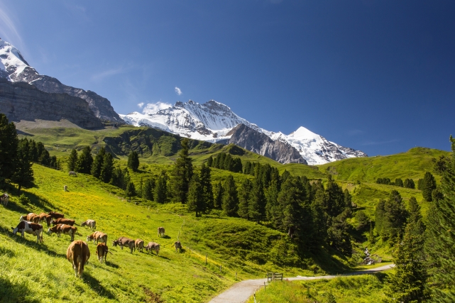 Приключения в потрясающей Швейцарии