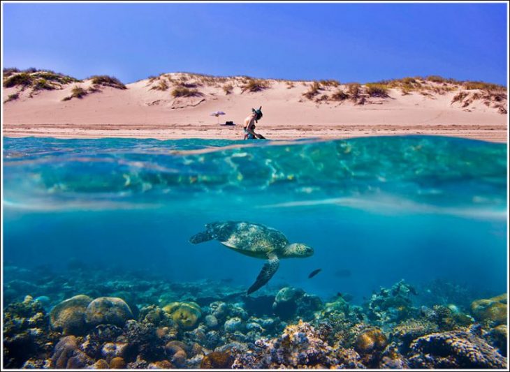 30 невероятных фото на границе двух миров - воды и суши