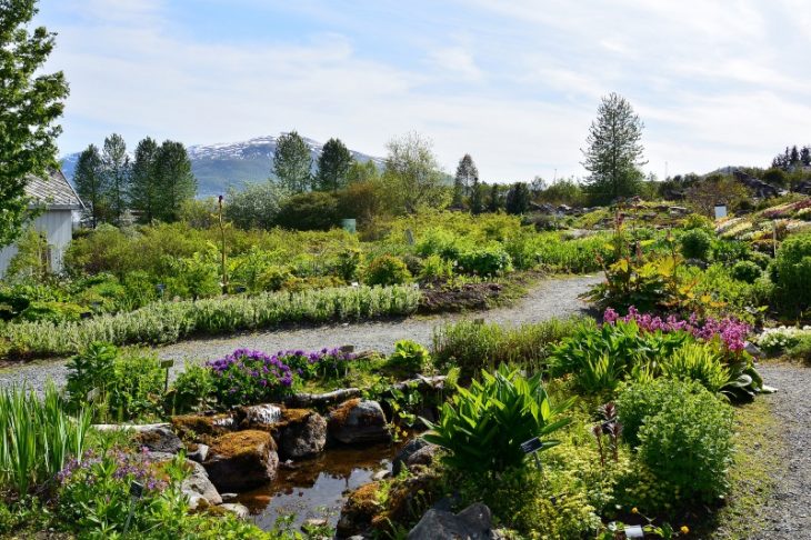 Самые необычные сады мира, красивейшие фото