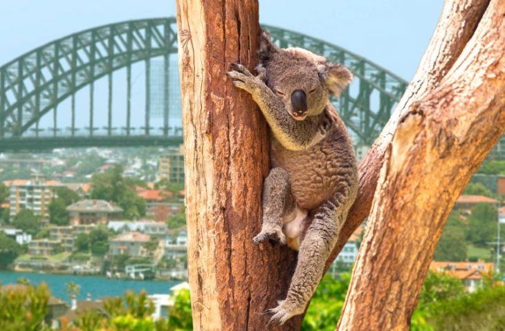 Австралия – страна путешественников: 30 фото
