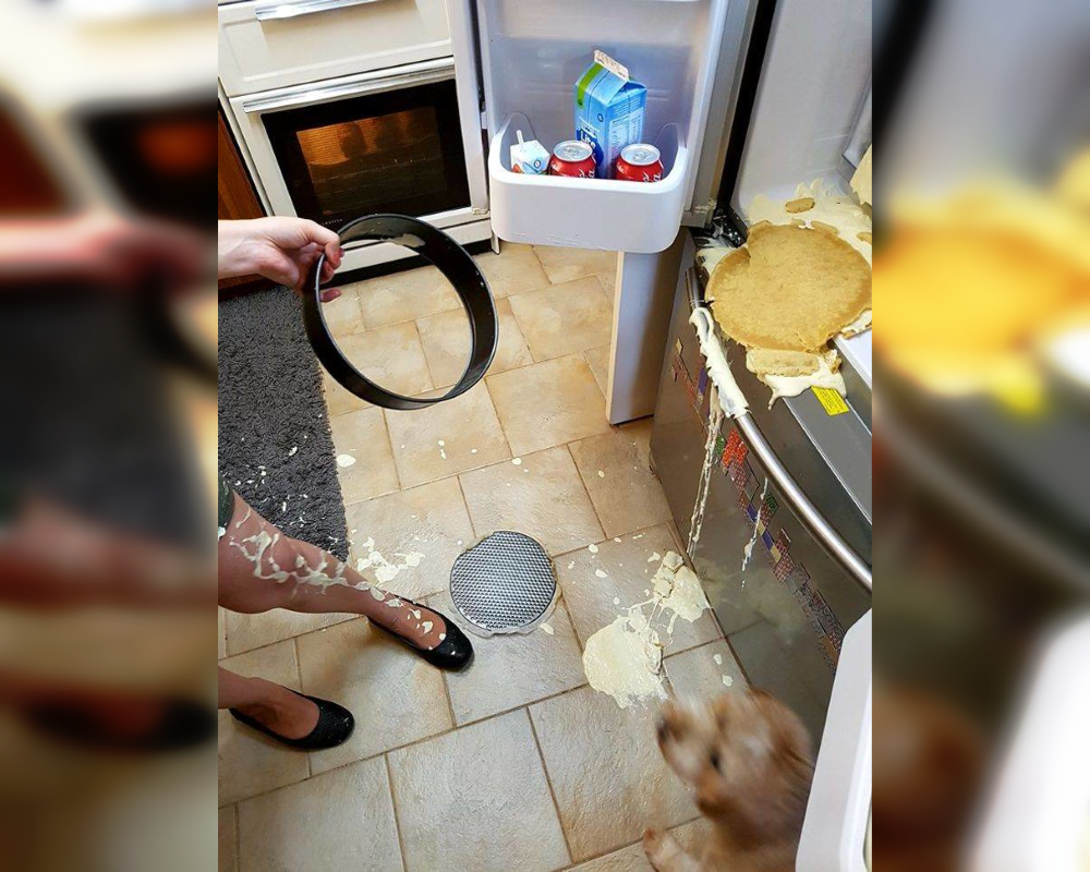 Laughing in the Kitchen: Chronicles of Culinary Chaos